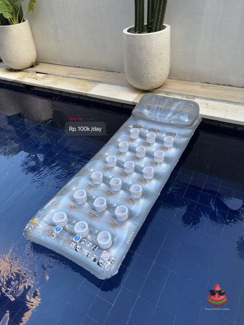 Adult Gray Pool Float