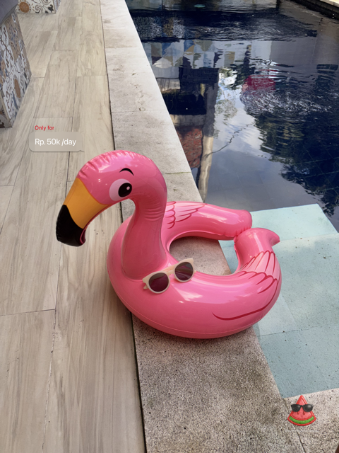 Flamingo Baby Float